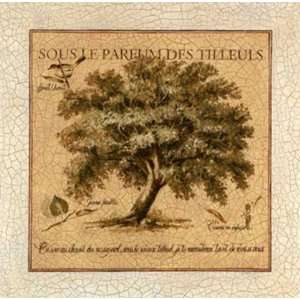  Sous Le Parfum Des Tilleuls by Pascal Cessou 12x12 Health 