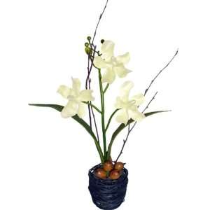  White Vanda Orchid in Wire Vase: Home & Kitchen