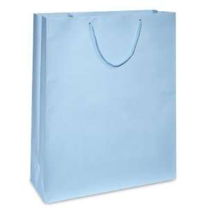  16 x 6 x 19 1/4 Queen Light Blue Matte Laminate Bags 