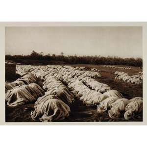  1924 Muslims Praying Biskra Oasis Algeria Photogravure 