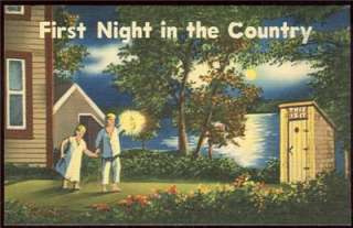Vintage Comic Postcard of First Night in the Country  