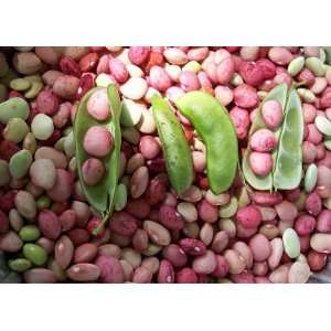  Dixie Speckled Butterpea Lima Bean Seeds: Home & Kitchen