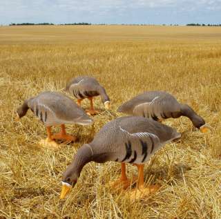 FOOT BIGFOOT FULL BODY SPECKLEBELLY WHITE FRONTED GOOSE FEEDER DECOYS 