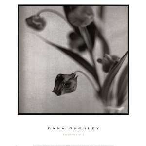   Finest LAMINATED Print Dana Buckley 13x16