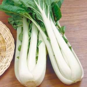 150 Seeds, Cabbage Pak Choi White Stem (Brassica oleracea) Seeds By 