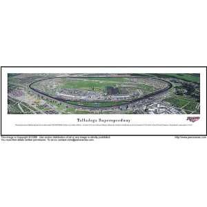 Talladega Superspeedway 13.5x40 Panoramic Photo:  Sports 