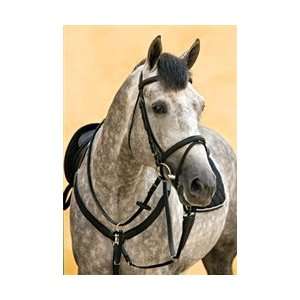  Amigo Leather Bridle