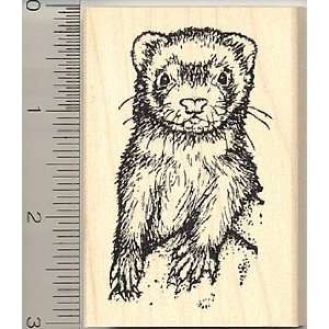  Ferret Rubber Stamp: Arts, Crafts & Sewing