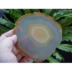    A3603 Gemqz Banded Brown Agate Slice Large !!: Everything Else