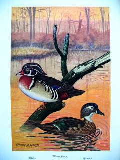 1943 Duck Goose Hunting Calls Decoys Punt Sneak Boats Prints HARDBOUND 