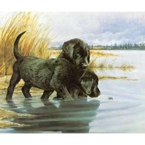  Tara Moore   Lab Pups and Waterbug Artists Proof