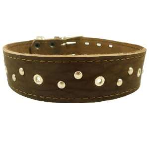   . Fits 18.5 22 Neck.For Large Breeds Boxer, Pit Bull.
