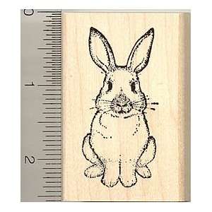  Large Sitting Bunny Rabbit Rubber Stamp: Arts, Crafts 
