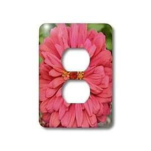 Patricia Sanders Flowers   Autumn Flowers  Red Zinnia and Bee  Floral 
