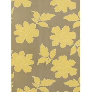  Sample   NEW PEONY CANARY TAUPE: Home & Kitchen