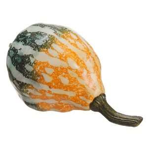 5Hx3W Weighted Gourd Orange Green (Pack of 12):  Home 