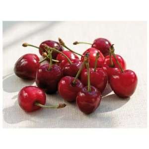 Martina Schindler   Morello Cherries II Canvas:  Home 