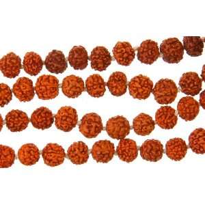 Rudraksha Mala (Rosary) with 108 Beads for Chanting 