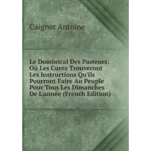   Les Dimanches De LannÃ©e (French Edition): Caignet Antoine: Books