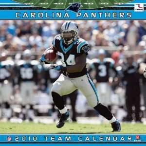  Carolina Panthers 2010 12x12 Team Wall Calendar Sports 