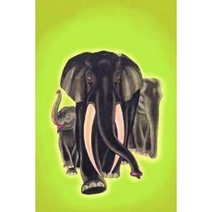  Indian Elephants 20x30 poster