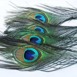 20 pcs natural peacock tail Eye feathers for Jewelry Party,about 26 