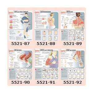   Rehab & Fitness Posters Understanding Electrotherapy   Model 552188