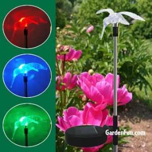  Solar Hummingbird Garden Stake: Patio, Lawn & Garden