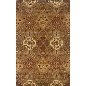  Rizzy Rugs Destiny DT1024 Rug, 8 by 8 Home & Kitchen