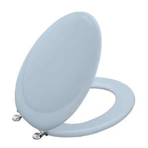   Toilet Seat with Brushed Chrome Hinges, Skylight