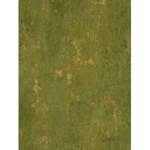    Faux Trowel Green Wallpaper in Classic Silks