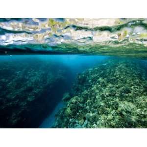  Underwater Coral Reef Views in Shallow Water, French 