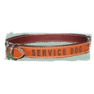  Service Dog Collar   Leather   Large