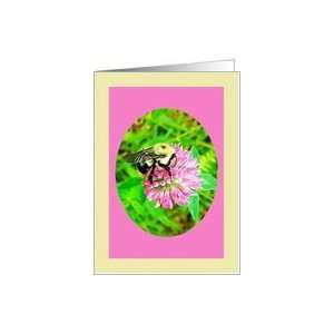 Red Clover, Bumblebee Blank Nature Note Card Card