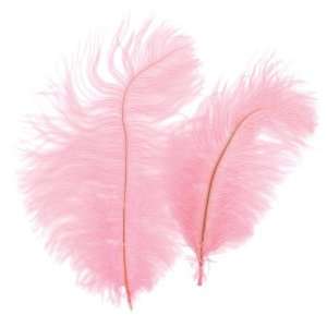  Zucker Feather Products B802 LP Ostrich Feathers: Toys 