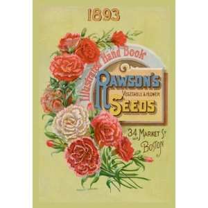   Vegetable and Flower Seeds 20x30 poster 
