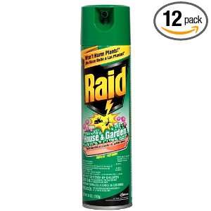  Raid House & Garden 11 Ounce Cans (Pack of 12) Health 