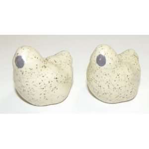   Faux Cracked Finish Chick Salt And Pepper Shakers: Everything Else