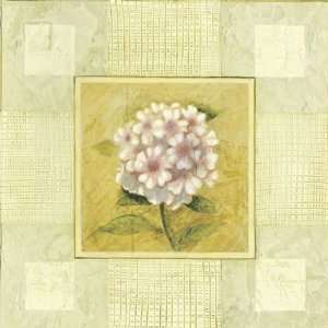  Pink & White Flower by Alejandro Mancini. Size 11.75 X 11 