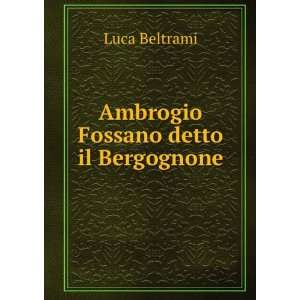  Ambrogio Fossano Detto Il Bergognone (Italian Edition 