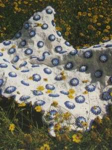 Bluebonnet Crochet Afghan Pattern Annies Attic  