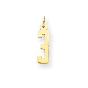  14k Yellow Gold Small Polished Elongated 3 Charm: Jewelry