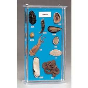  Mollusk Collection Biosmount(tm) Industrial & Scientific