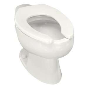   Elongated Toilet Bowl in White with Rear Spud Finish Mexican Sand