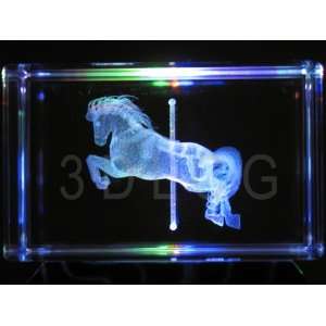  Merry Go Round Horse 3D Laser Etched Crystal: Everything 