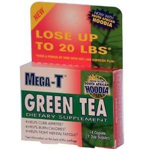  Mega T Green Tea with Hoodia (14 count): Health & Personal 
