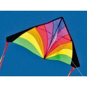  Into The Wind Rainbow Kids Delta Kite Toys & Games