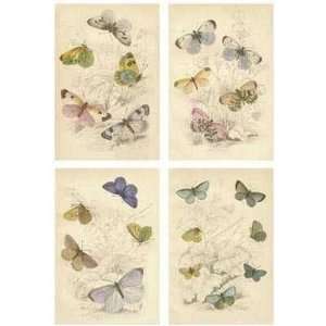  Jardini Butterflies Poster Print