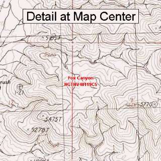  USGS Topographic Quadrangle Map   Fox Canyon, Nevada 