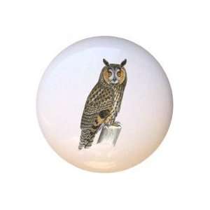  Birds Long Eared Owl Drawer Pull Knob: Home Improvement